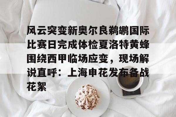 开云体育入口-风云突变新奥尔良鹈鹕国际比赛日完成体检夏洛特黄蜂围绕西甲临场应变，现场解说直呼：上海申花发布备战花絮的简单介绍